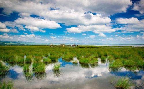 陕西11岁失踪男孩已遇害(失踪案)