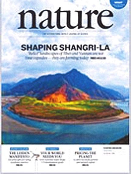 林宥嘉邓紫棋分手原因