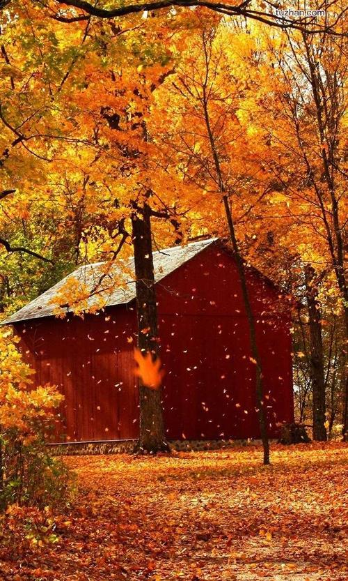 100首必听流行歌曲 (听一次哭一次的歌)