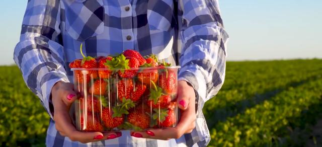 世界十大最贵水果（世界上最贵的水果前十名） 3