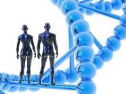 三家企业获得“榆林煤”商标首批授权书