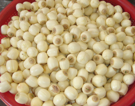 福建武夷山市“五夫白莲”获评国家地理标志商