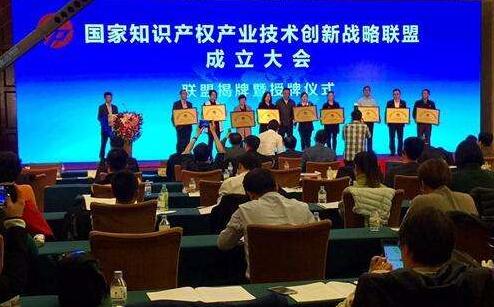 国家知识产权产业技术创新战略联盟正式成立
