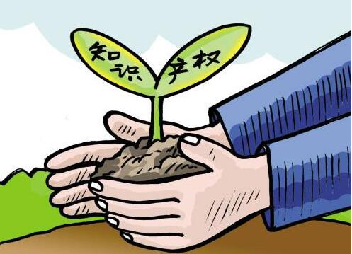 上海知识产权法院出台服务国际贸易中心建设意