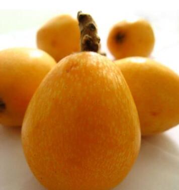 莆田商标注册成果丰硕 仙游“书峰枇杷”摘得国