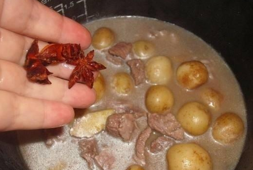 厉害啦!广西“上林八角”成地理标志证明商标 厉害啦!广西“上林八角”成地理标志证明商标