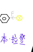 浙江义乌老板申请“本-拉丹” 被专家劝退 浙江义乌老板申请“本-拉丹” 被专家劝退