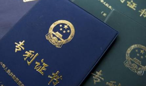 专利“临时保护”中“适当的费用”的确定