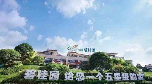 12件全部被驳回！碧桂园经典广告语申请失败